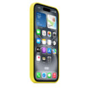 iPhone 16 Plus Silicone Case with MagSafe – Star Fruit
