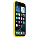 iPhone 16 Pro Silicone Case with MagSafe – Star Fruit